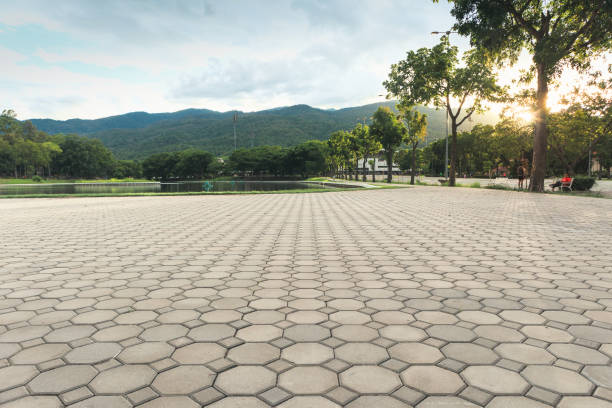 Best Professional Driveway Pavers  in Dexter, MO